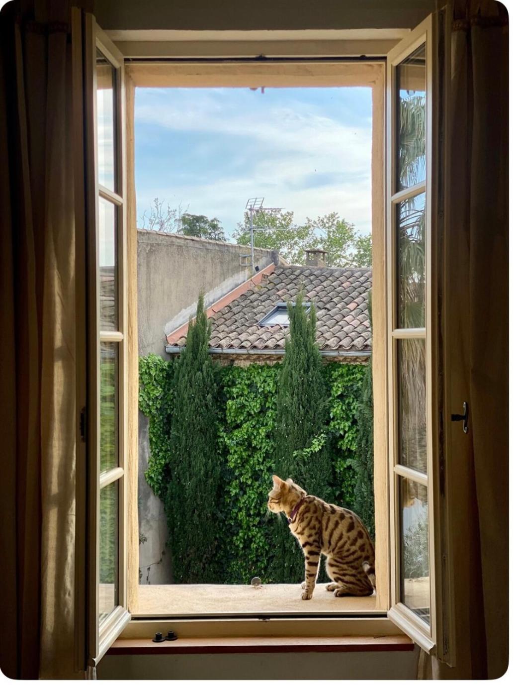 Le Figuier Διαμέρισμα Beauvoisin  Εξωτερικό φωτογραφία